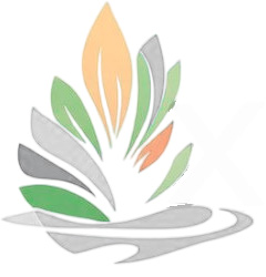 XLNT Wellness Membership